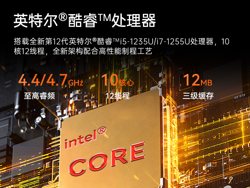10Ӣӹƽ,IP65ֳֹҵƽ,DTZ-I102E