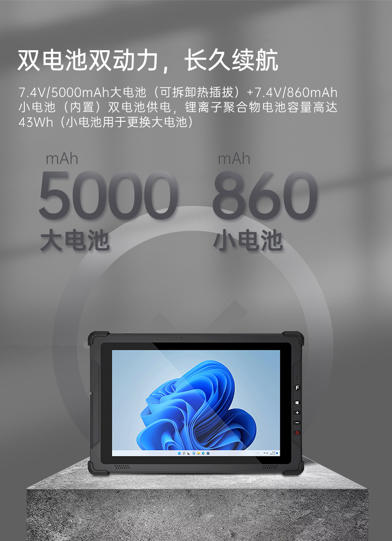 10Ӣӹƽ,IP65ֳֹҵƽ,DTZ-I102E.jpg