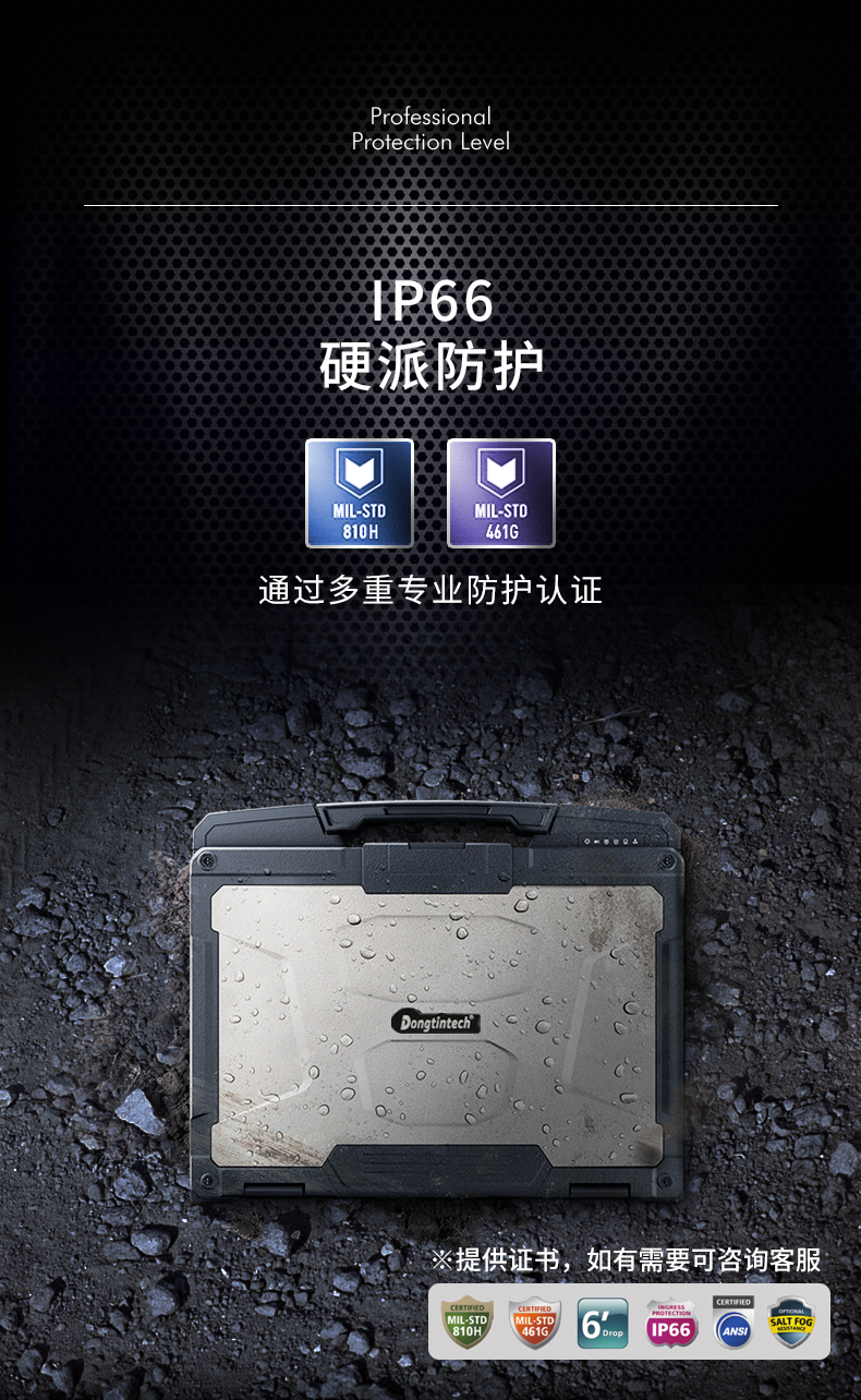 13.3Ӣȫӹ̱ʼǱ,ҵʼǱ,DTN-X1310G.jpg