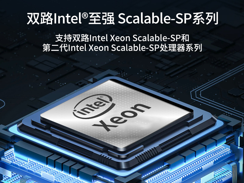 ػ,Intel Xeon Scalable-SP CPUҵ,DT-910-SC621MZ